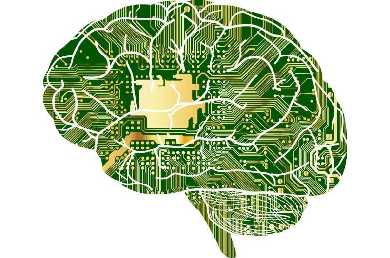 Квантовые технологии в мозгу